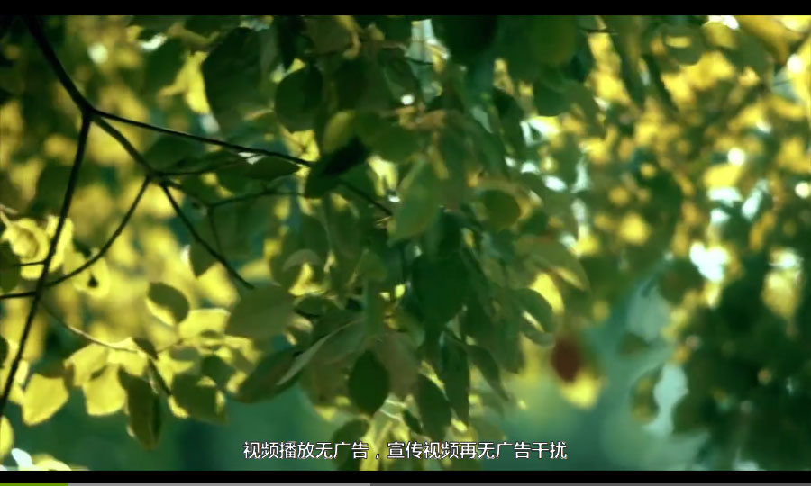 图1: 酷播云视频字幕功能